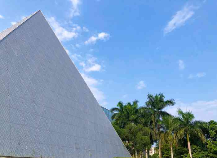 广西美术馆-"来的时候遇到了大雨97湿漉漉提着伞逛很不.