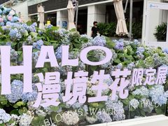 -HALO广场(梨园路店)