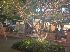 -铁像寺水街