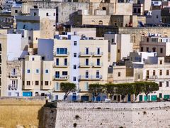 -上巴拉卡花园和下巴拉卡花园