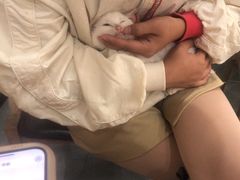-贝利宠物医院·骨科·眼科·肿瘤转诊中心(南坪诊疗中心)