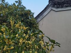 -宁波市保国寺古建筑博物馆