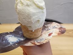 -野人先生现做冰淇淋(北京环宇荟店)