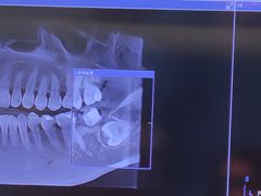 -上海康怡口腔门诊部Alpha Dental