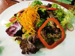 蔬菜鲜菌沙拉-PAULANER普拉那德国啤酒花园(千玺广场店)