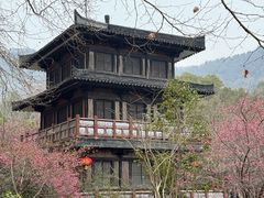 -习家池