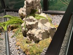 -潮发潮汕牛肉店(永庆坊店)
