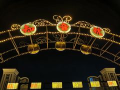 -武汉知音号