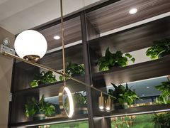 -刘胖子家常菜·蹄花焖藕(中南店)