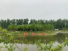 -合肥滨湖国家森林公园