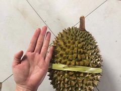 -曼阁市场水果批发市场