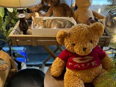 -咖法森林·咖啡  酒吧(天河店)