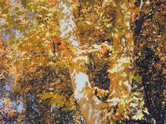 -河南省黄河迎宾馆