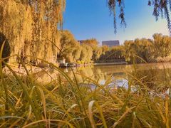 -三忘湖 SWANSEEN(柳荫公园店)