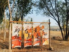 -西青郊野公园
