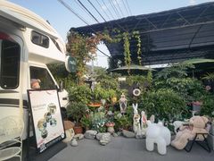 -京北渔家傲