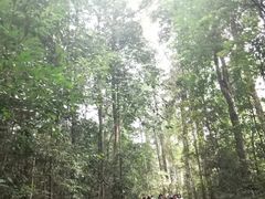 -武吉知马自然保护区