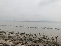 -深圳湾公园(南山区)