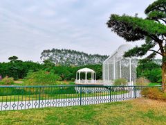 -迪茵湖田家舍生态农场