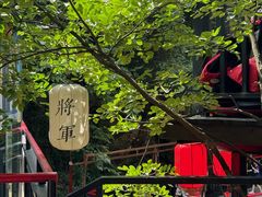 -将军关探险漂流