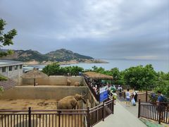 -西霞口神雕山野生动物世界