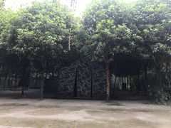 -勇士之星真人CS·团建·拓展(清水河公园店)