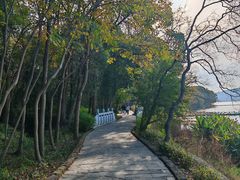 -东湖落雁景区