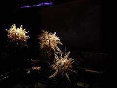 -黑桃K生日订制KTV