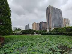 -黄兴公园