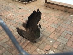 -水善汇温泉洗浴汗蒸会馆(中泽城店)