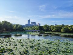 -长春市南湖公园