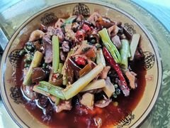 -铁山坪森林公园