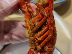 -江味龙虾馆·裸蓝龙虾(南山店)