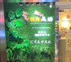 -西施无菌半永久纹绣眉眼影唇轻增发纹发际线