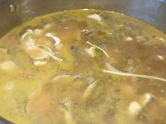 -印象鲵宴·张家界地标美食名片(溪布街店)