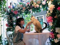 -花十悦·鲜花咖啡餐厅(振业城一期店)