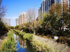 -小湘旺臭鳜鱼·新湘菜(马连道路店)