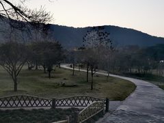 -普陀山雷迪森庄园