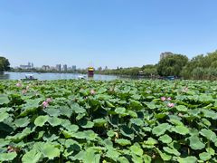 -济南大明湖景区