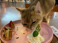 -猫小院猫主题餐厅(三里屯店)