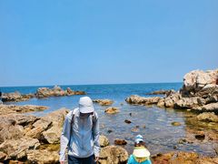 -养马岛旅游度假区