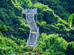-阳台山森林公园