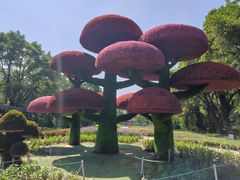 -沈阳植物园