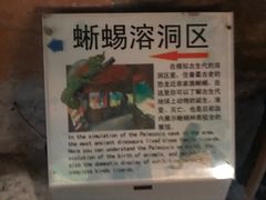 -上海大自然野生昆虫馆(东方明珠·爬宠昆虫探索中心)
