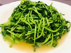豆苗光炒-钱塘宴(东站西子国际店)