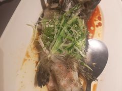 清蒸老虎斑-徐记海鲜(曲江南湖店)