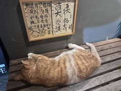 -正南齐北·老街糯米团(洪崖洞店)
