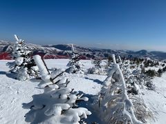 -密苑云顶乐园(云顶滑雪场)