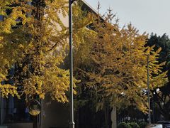 -合景·悠方(成都店)