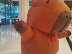 -廊坊固安福朋喜来登酒店